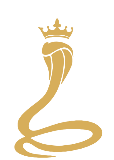 ORGANIZIRANE PROSLAVE 1 Awesome Image