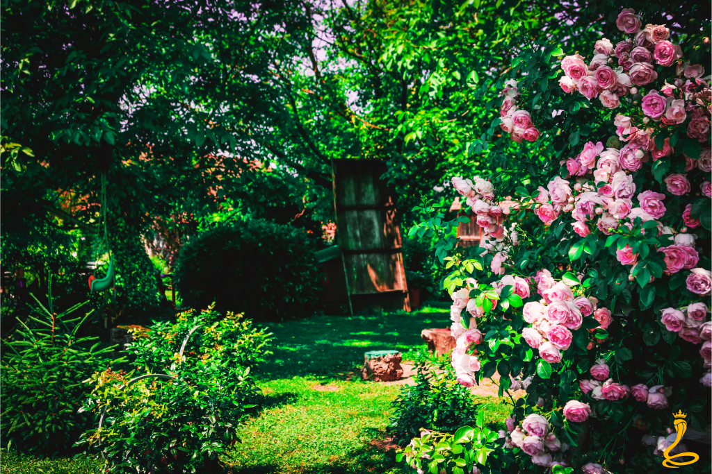 ORGANIZIRANE PROSLAVE 4 ladja