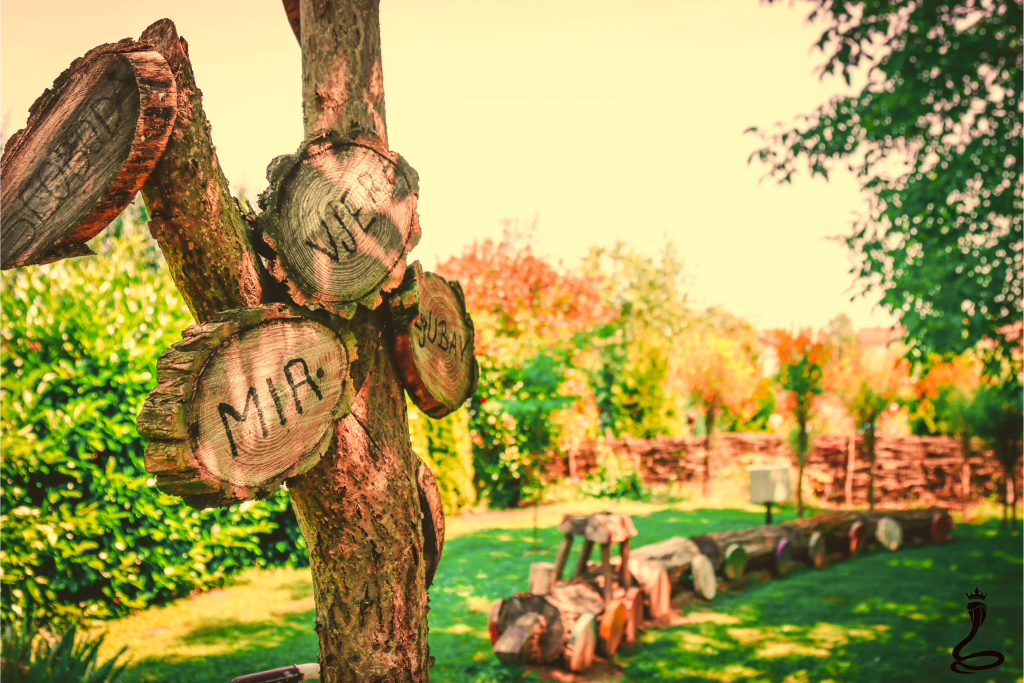 ORGANIZIRANE PROSLAVE 7 veliki vrt